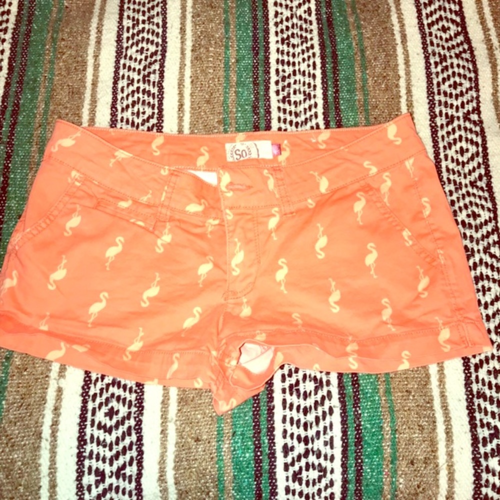 Cute shorts with flamingo canvas/target